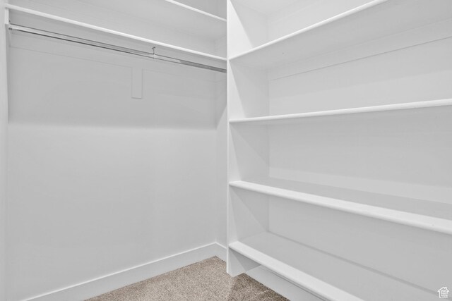 1046 W Albion Meadow Way, Bluffdale, UT 84065 - spacious closet featuring carpet floors