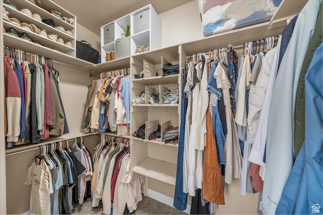 86 W 1965 S, Washington, UT 84780 - walk in closet featuring carpet