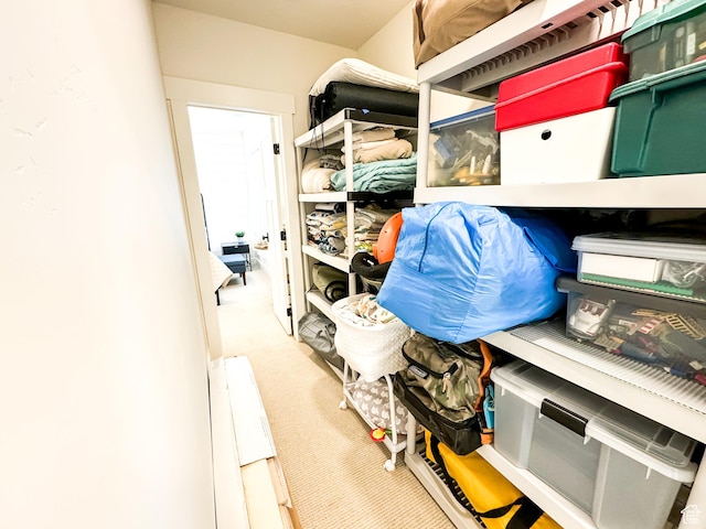 5469 N Meadow Lark Ln, Lehi, UT 84043 - view of storage area