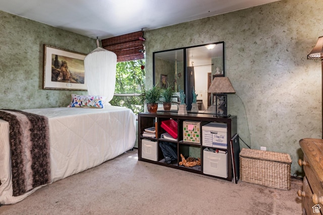 2462 W Hard Rock Cir, Taylorsville, UT 84129 - view of carpeted bedroom