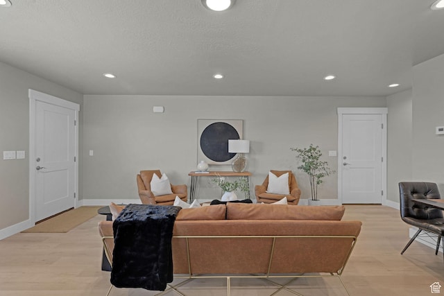 766 N 540 E, Smithfield, UT 84335 - living room featuring light wood-style floors and recessed lighting