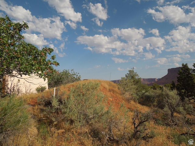 313 W Holyoak Ln, Castle Valley, UT 84532 - mountain view