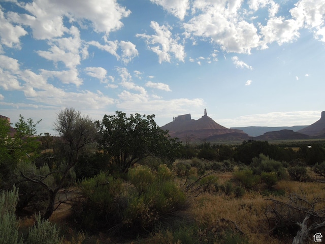 313 W Holyoak Ln, Castle Valley, UT 84532 - view of mountain background