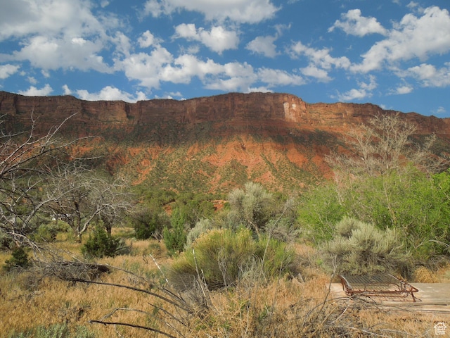 313 W Holyoak Ln, Castle Valley, UT 84532 - view of mountain backdrop