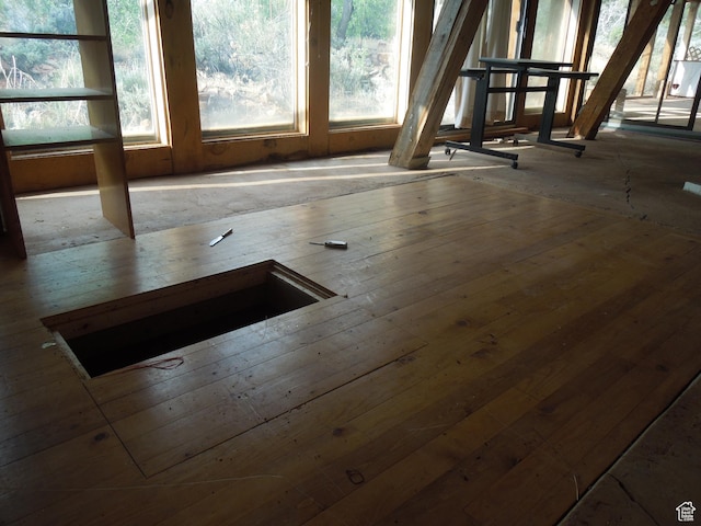 313 W Holyoak Ln, Castle Valley, UT 84532 - detailed view of wood finished floors