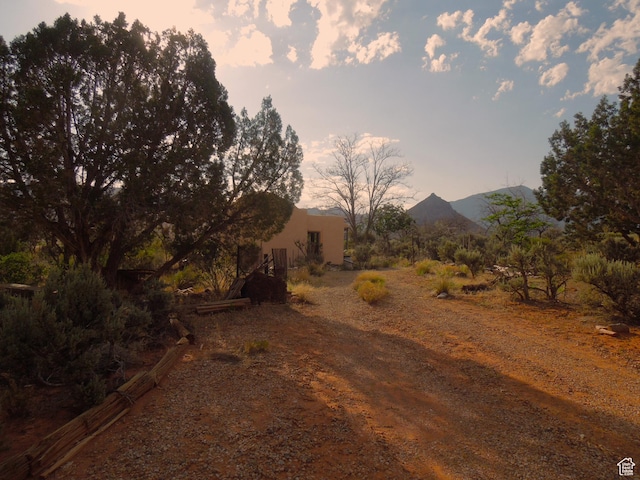313 W Holyoak Ln, Castle Valley, UT 84532 - view of street