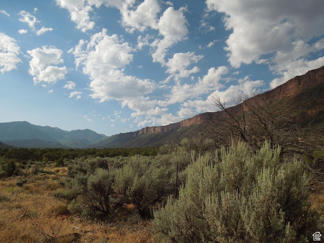 313 W Holyoak Ln, Castle Valley, UT 84532 - view of mountain background