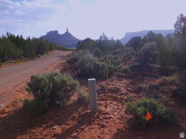 313 W Holyoak Ln, Castle Valley, UT 84532 - view of mountain background