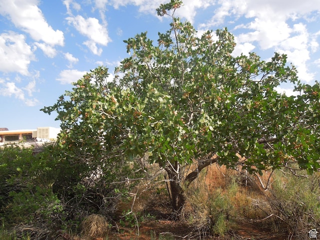 313 W Holyoak Ln, Castle Valley, UT 84532 - view of local wilderness