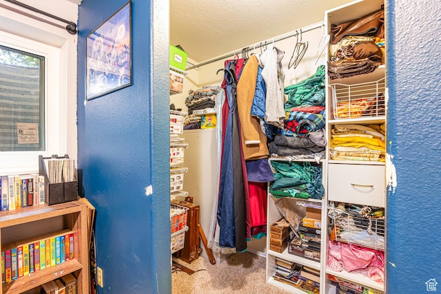 462 E 370 N, Delta, UT 84624 - spacious closet with carpet