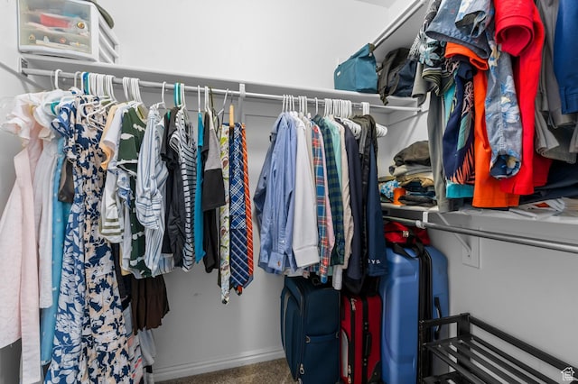 1738 N Brett St, Tooele, UT 84074 - view of walk in closet
