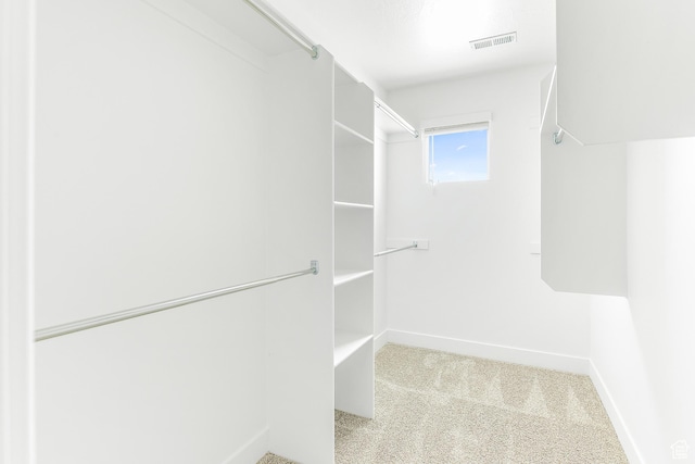 4728 E Lake Corner Dr, Eagle Mountain, UT 84005 - spacious closet with carpet