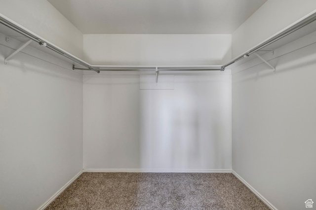 4689 W Nebo Dr S, West Jordan, UT 84088 - walk in closet featuring carpet floors