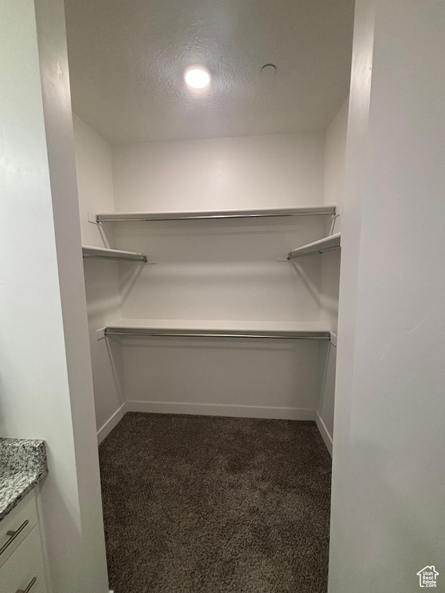 460 W 15 S Unit G201, Providence, UT 84332 - walk in closet with dark colored carpet
