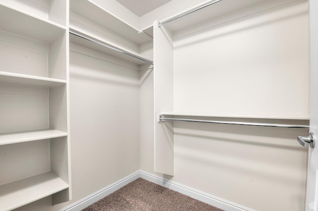 9213 S 2040 W Unit C, West Jordan, UT 84088 - spacious closet with carpet