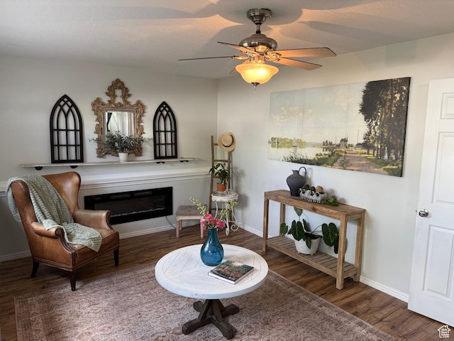 334 W 100 N, Clearfield, UT 84015 - sitting room with wood finished floors, a glass covered fireplace, and ceiling fan