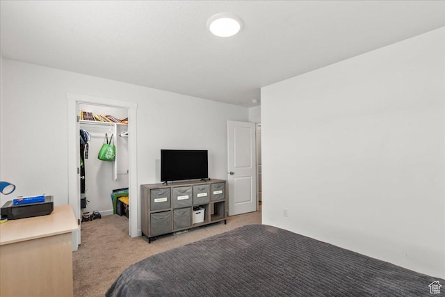 4113 S 3560 W, West Haven, UT 84401 - bedroom with light carpet, a spacious closet, and a closet