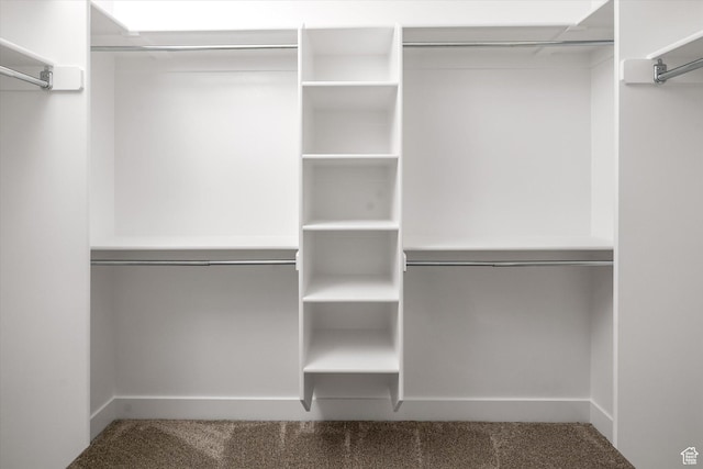 156 N Sherwood Dr, Providence, UT 84332 - spacious closet with carpet flooring