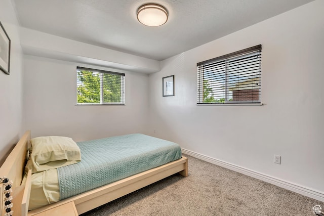 470 Hiland Rd, Ogden, UT 84404 - bedroom featuring multiple windows and carpet