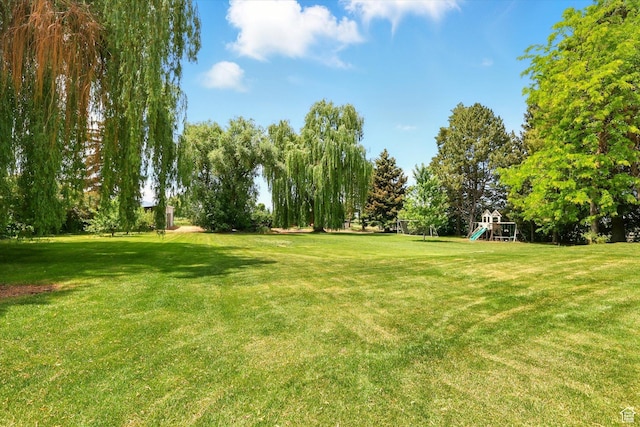 12800 N 1200 E, Cove, UT 84320 - surrounding community with a yard and view of wooded area