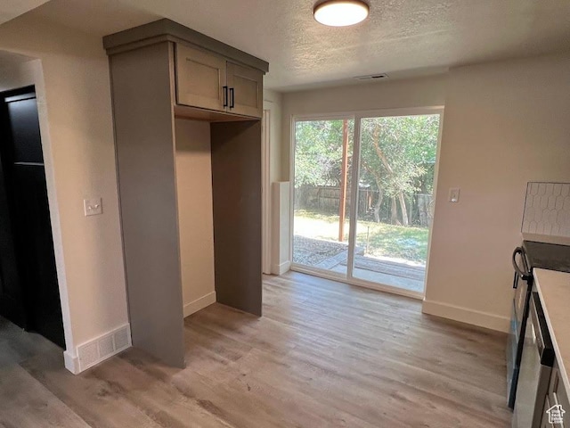 1569 E Boysenberry Cir S, Sandy, UT 84093 - kitchen featuring light wood-style flooring, a textured ceiling, and gray cabinets