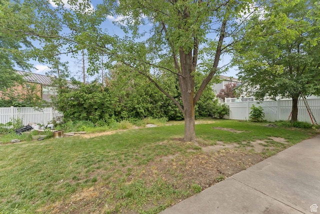 1212 Pinehurst Cir, Farmington, UT 84025 - view of yard