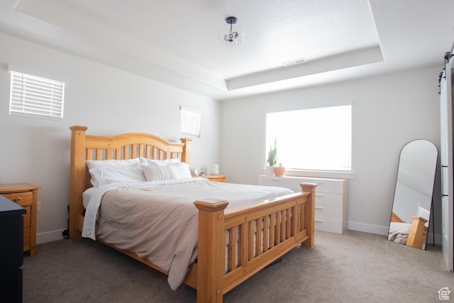 922 Olson Dr N, Saratoga Springs, UT 84045 - bedroom featuring a tray ceiling, multiple windows, and light colored carpet