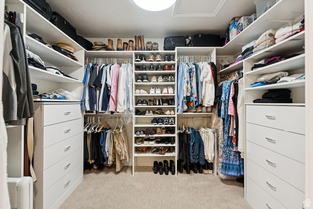 1537 N Sweetwater Ln, Farmington, UT 84025 - walk in closet featuring carpet and attic access