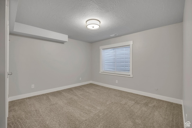 2508 E Lone Hill Dr, Draper Ut Cnty, UT 84020 - empty room featuring a textured ceiling and carpet floors