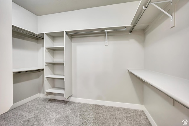 2508 E Lone Hill Dr, Draper Ut Cnty, UT 84020 - walk in closet featuring carpet flooring