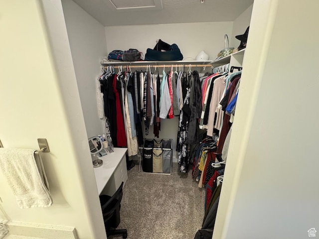 949 W Big Ben Ln Unit I304, Saratoga Springs, UT 84045 - walk in closet with carpet floors and attic access
