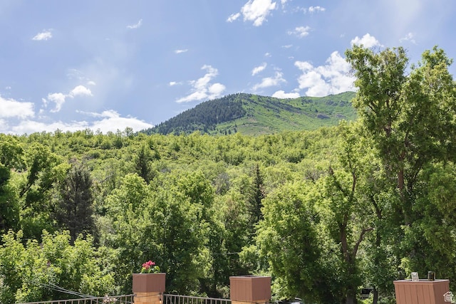 32 S Smokey Ln, Emigration Canyon, UT 84108 - view of mountain background featuring a heavily wooded area