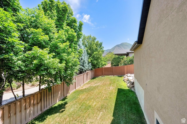 385 E 1000 S Unit 42, Salem, UT 84653 - view of yard