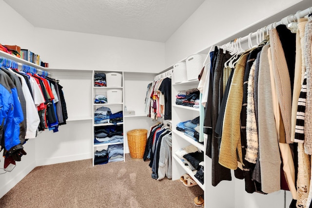 385 E 1000 S Unit 42, Salem, UT 84653 - walk in closet with carpet floors
