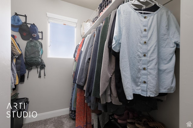 3694 E Tauri Way, St George, UT 84790 - walk in closet with carpet flooring