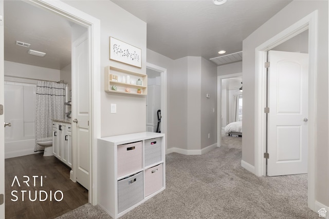 3694 E Tauri Way, St George, UT 84790 - hallway featuring dark colored carpet and recessed lighting