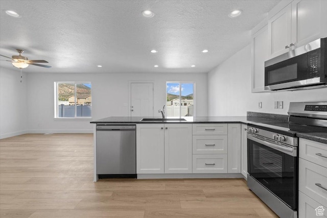 210 W 815 N Unit 24, Nephi, UT 84648 - kitchen featuring appliances with stainless steel finishes, a peninsula, a ceiling fan, dark countertops, and light wood-style floors