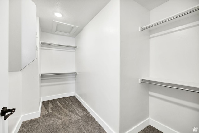 824 N 980 W, Tremonton, UT 84337 - spacious closet featuring dark colored carpet and attic access