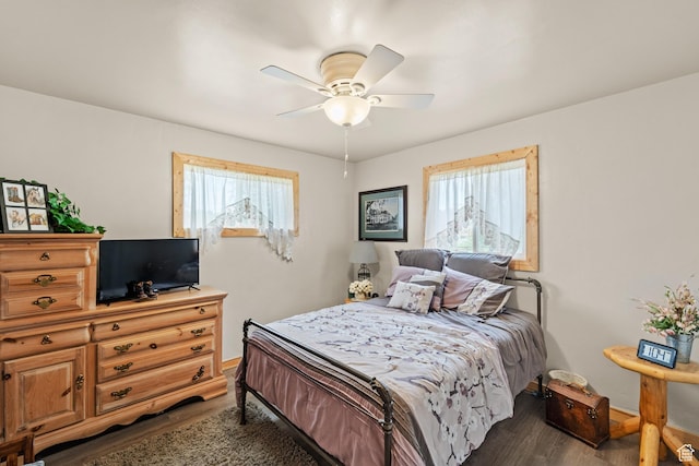 1665 E 1200 N, Mount Pleasant, UT 84647 - bedroom featuring multiple windows, wood finished floors, and ceiling fan