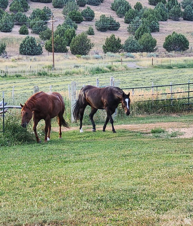 1665 E 1200 N, Mount Pleasant, UT 84647 - horse barn featuring a rural view