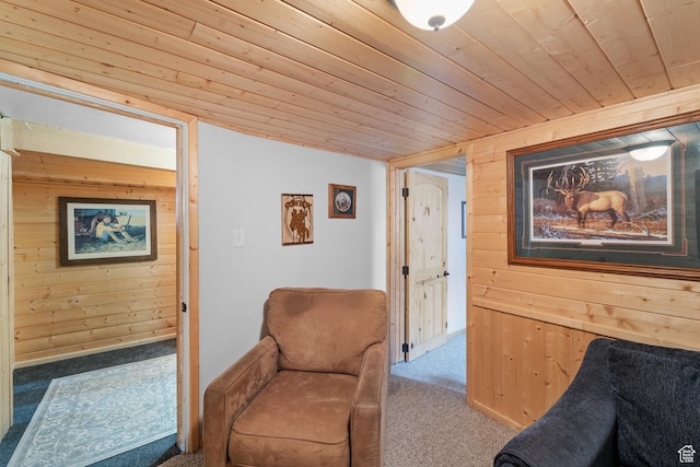 1665 E 1200 N, Mount Pleasant, UT 84647 - living area featuring carpet floors, wood walls, and wood ceiling