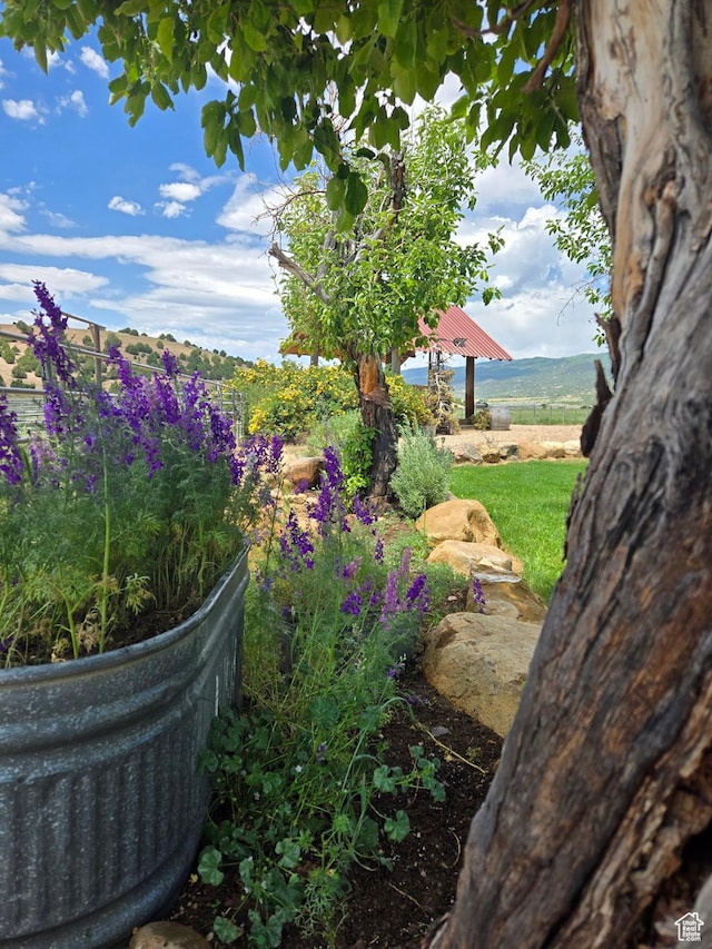 1665 E 1200 N, Mount Pleasant, UT 84647 - view of yard