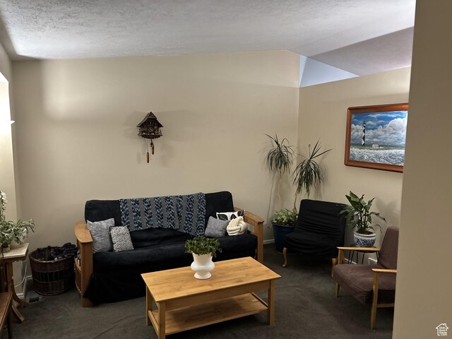 423 W 180 N, Clearfield, UT 84015 - carpeted living area featuring vaulted ceiling and a textured ceiling