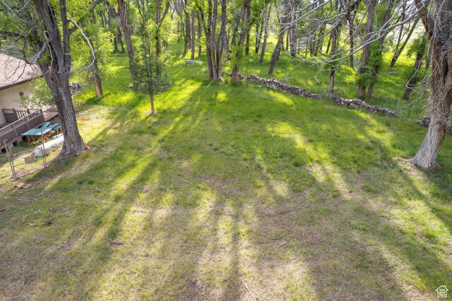 718 S Bullberry Rd, Hatch, UT 84735 - photo 32