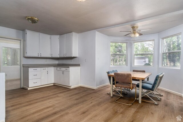 718 S Bullberry Rd, Hatch, UT 84735 - photo 19