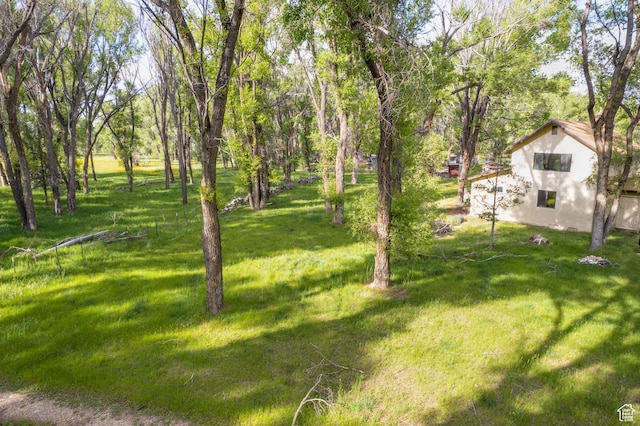 718 S Bullberry Rd, Hatch, UT 84735 - photo 12