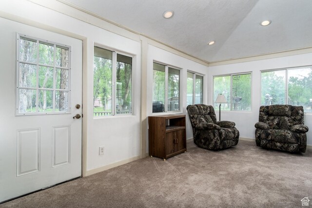 718 S Bullberry Rd, Hatch, UT 84735 - photo 16