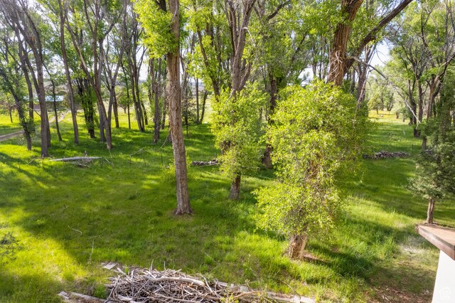 718 S Bullberry Rd, Hatch, UT 84735 - photo 34