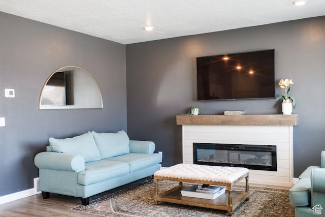 3657 E 1500 S, Spanish Fork, UT 84660 - living area featuring wood finished floors, a glass covered fireplace, and a textured ceiling