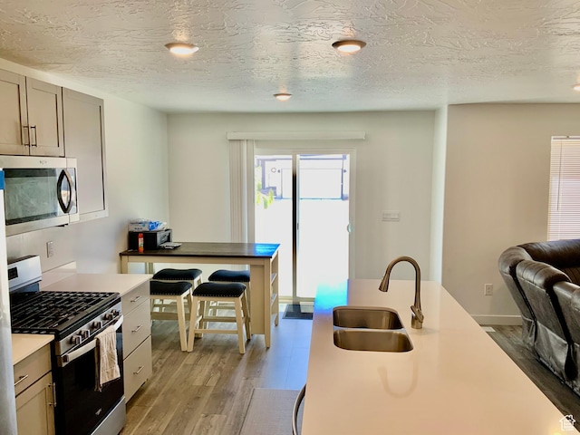 2953 W Ezra Dr, Cedar City, UT 84720 - kitchen featuring appliances with stainless steel finishes, light wood-style floors, a textured ceiling, and open floor plan